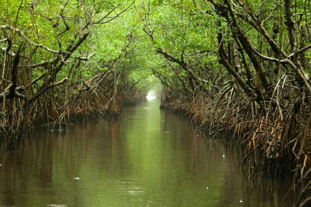 everglades "tunnel"